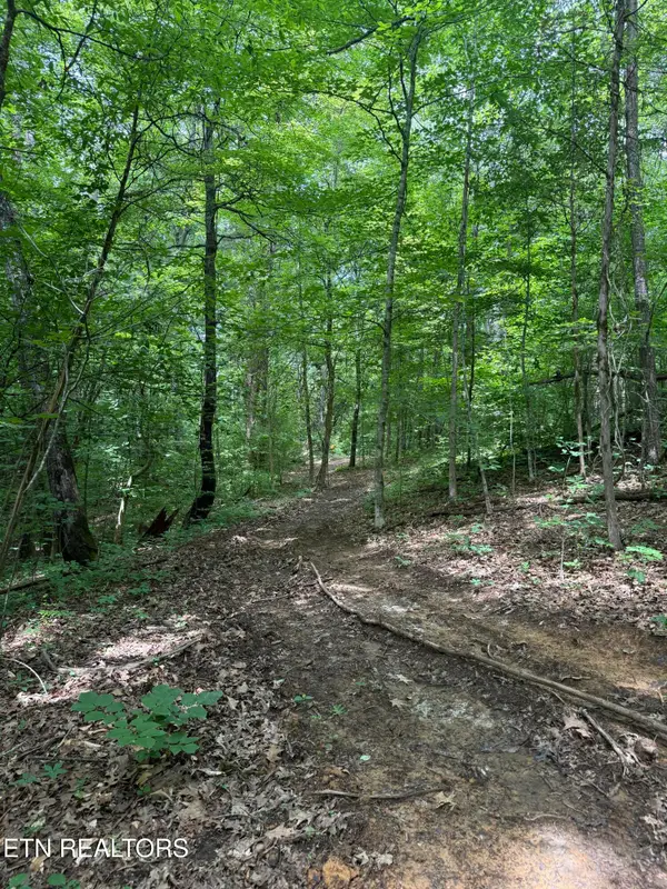 0 Thorngrove Pike, Knoxville, TN 37914