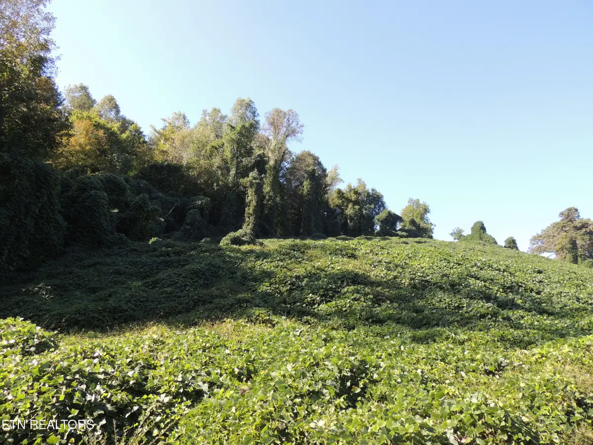 8548 Zinc Rd, Knoxville, TN 37938 - #1