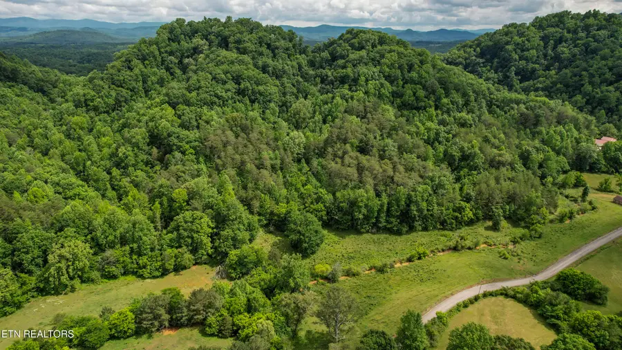 Shoal Creek Rd, Englewood, TN 37329 - #2