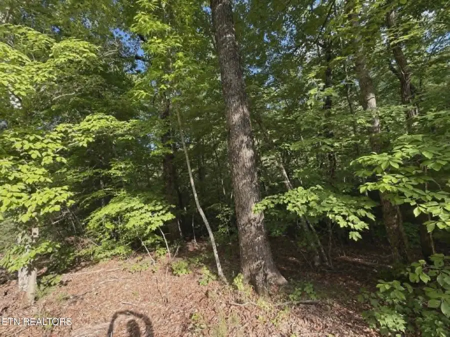 Fox Hunters Lane, Sevierville, TN 37876 - #3