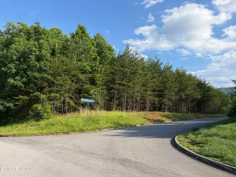 Lot #36 Burning Oaks Drive Drive, Sevierville, TN 37876 - #2