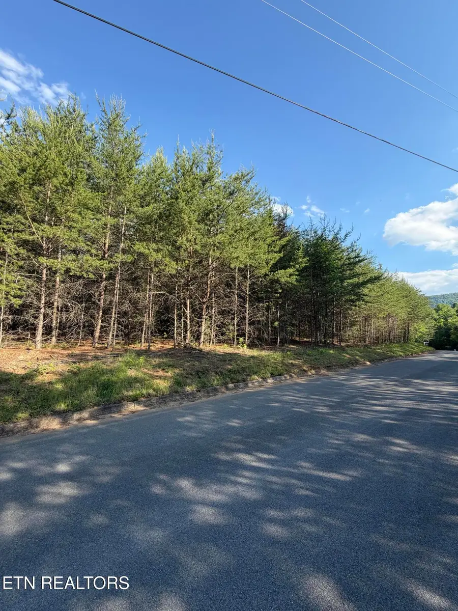 Lot #36 Burning Oaks Drive Drive, Sevierville, TN 37876 - #3