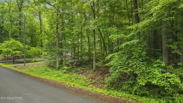 Peach Tree St, Sevierville, TN 37862