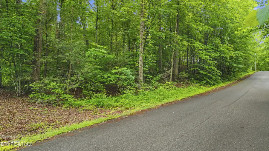 Peach Tree St, Sevierville, TN 37862 - #2