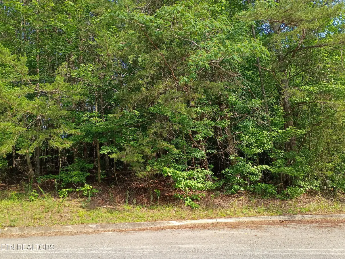 Tanger Court, Harriman, TN 37748 - #1