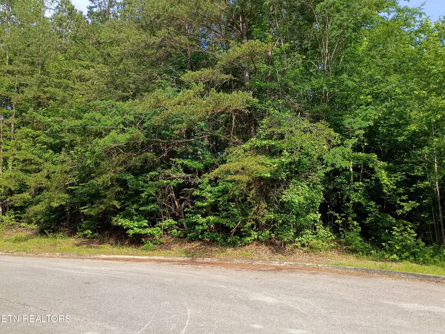 Tanger Court, Harriman, TN 37748 - #2