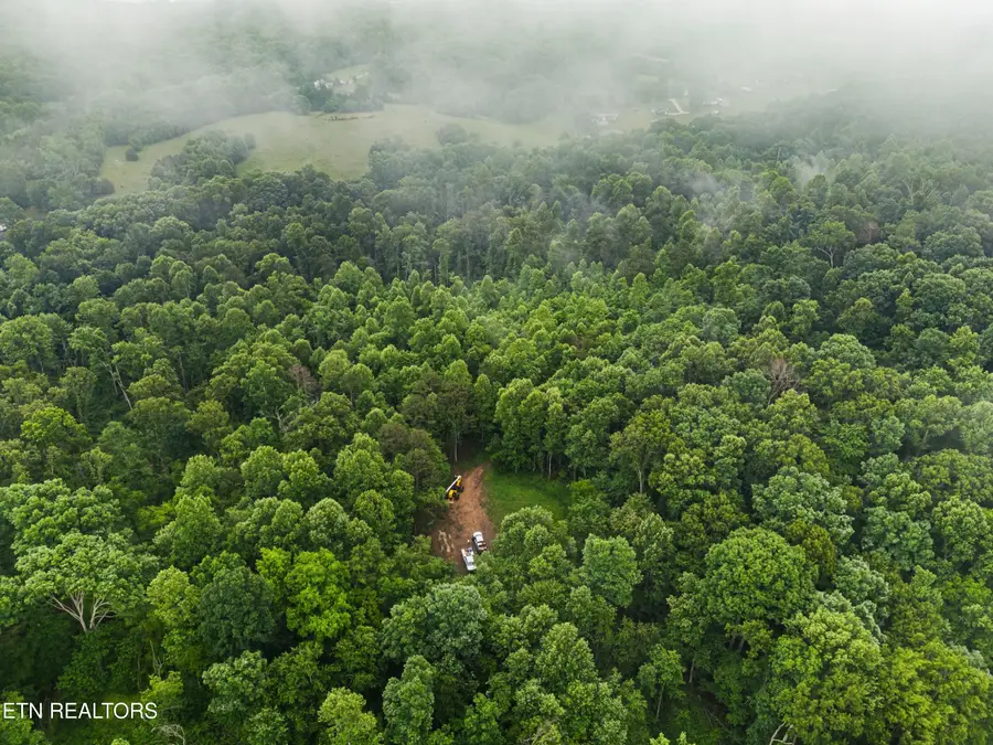 Parcel 16 Mill Springs Rd, New Market, TN 37820 - #3