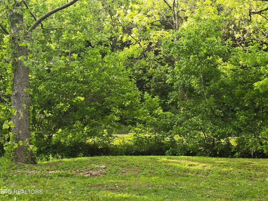 2615 Stoney Fork Rd, Sneedville, TN 37869 - #3