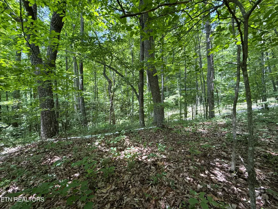 Swann Saddle #10, Sevierville, TN 37876 - #3