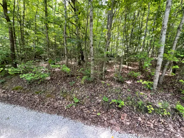 Anna Laura Lane, Rockwood, TN 37854