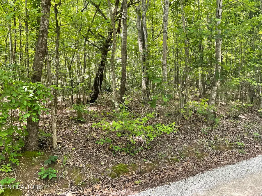 Anna Laura Lane, Rockwood, TN 37854 - #2