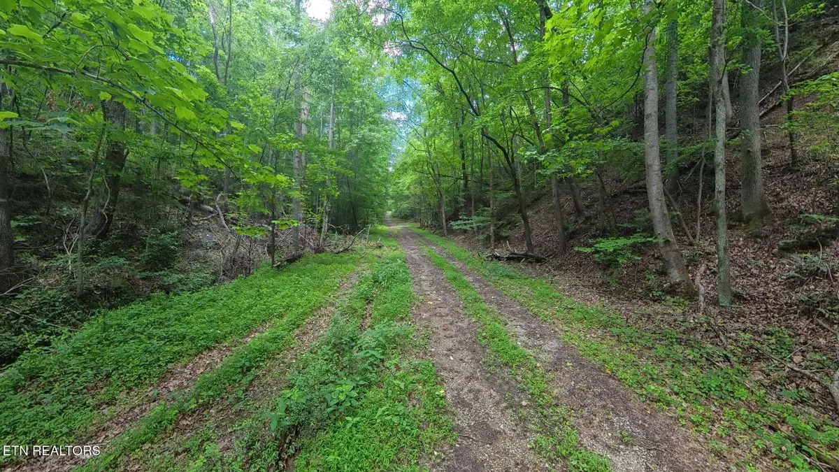 195 Sherwood Lane, Harriman, TN 37748 - #1