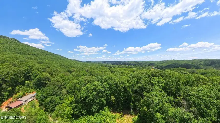195 Sherwood Lane, Harriman, TN 37748 - #3