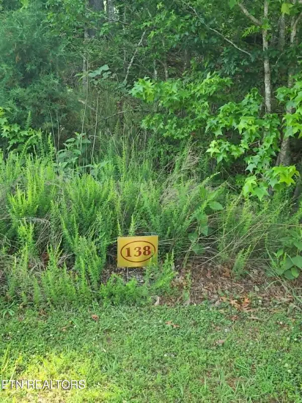 Lot 138 E Shore Drive #138, Rockwood, TN 37854