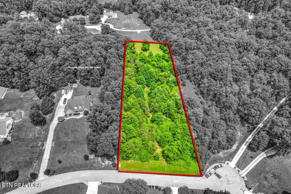 Stone Ridge Drive, Andersonville, TN 37705