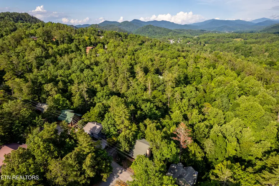 124 Cutter Gap Rd, Townsend, TN 37882 - #3