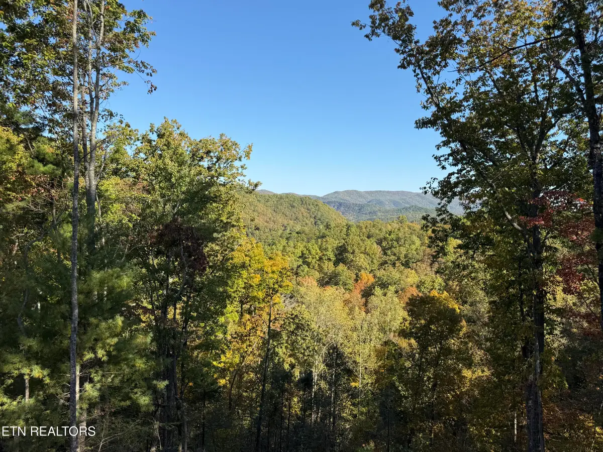 1 Mule #122, Sevierville, TN 37862 - #1