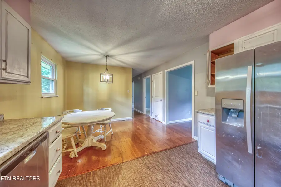 4403 Mace Lane, Knoxville, TN 37938 - #3