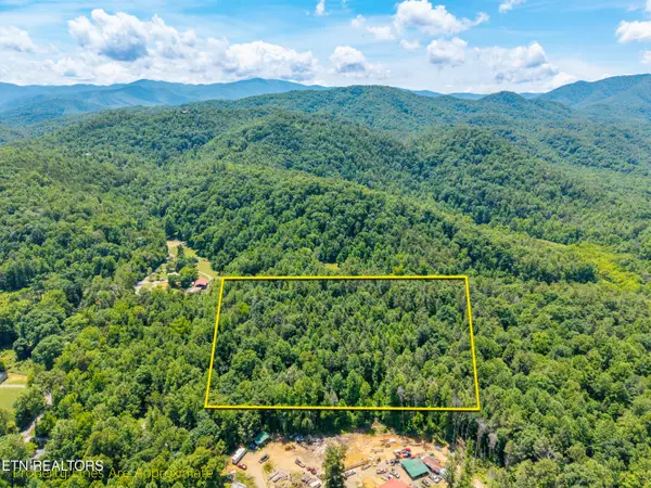 8246 Tennessee Hwy 73, Townsend, TN 37882