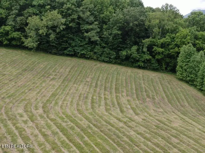 290 Snyder Ridge Rd, Rose Hill, VA 24281 - #2