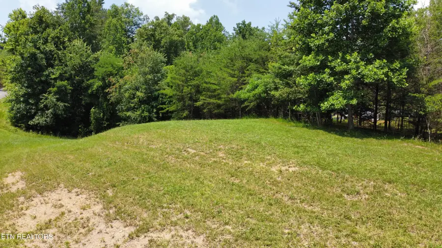 Hayden Drive, New Tazewell, TN 37825 - #3