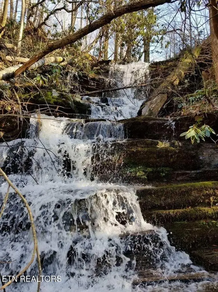 2440 Paradise Falls Way, Sevierville, TN 37862 - #2