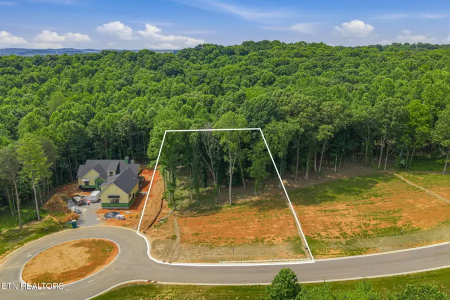 184 Lake Life Way, Loudon, TN 37774 - #2