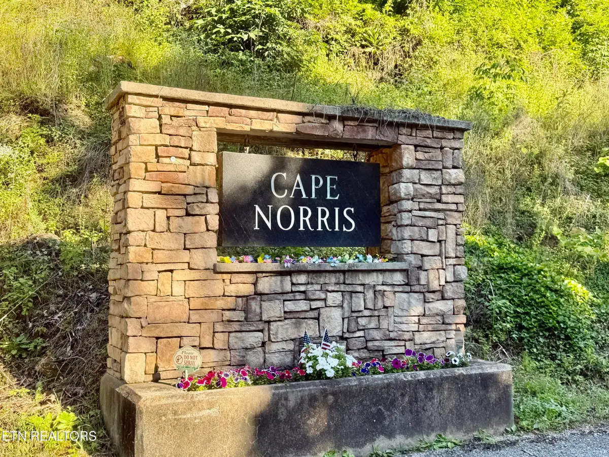 376 Norris View Drive, New Tazewell, TN 37825 - #1