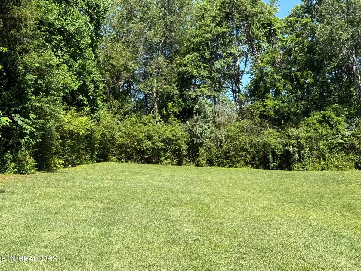 208 Mingo Way, Loudon, TN 37774 - #1