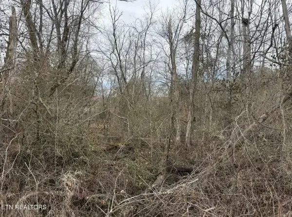 Balboa Drive, Rockwood, TN 37854