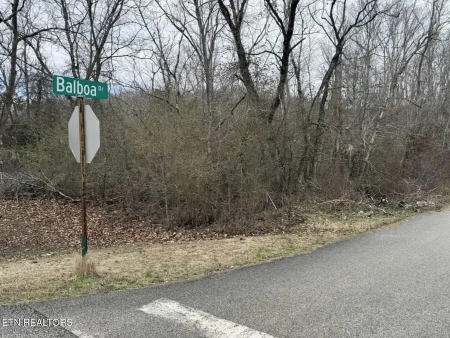 Balboa Drive, Rockwood, TN 37854 - #3