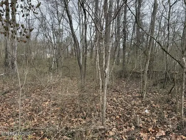 164 Jodys Lane, Rockwood, TN 37854