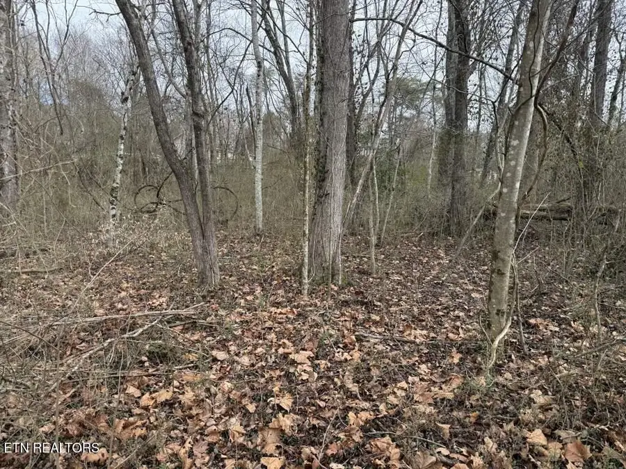 164 Jodys Lane, Rockwood, TN 37854 - #2