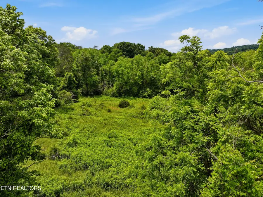 136 Clinchview Lane, Washburn, TN 37888 - #2