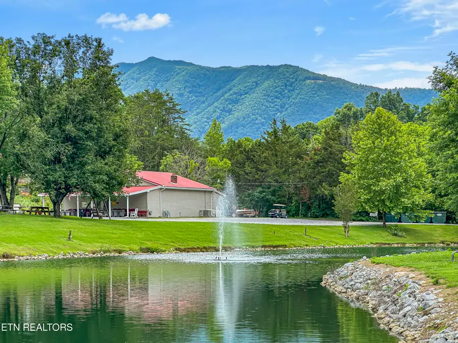 770 Big Valley Blvd, Townsend, TN 37882 - #3