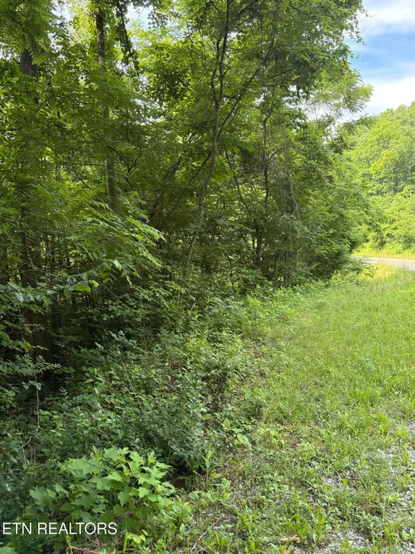 5787 Highway 297, Pioneer, TN 37847