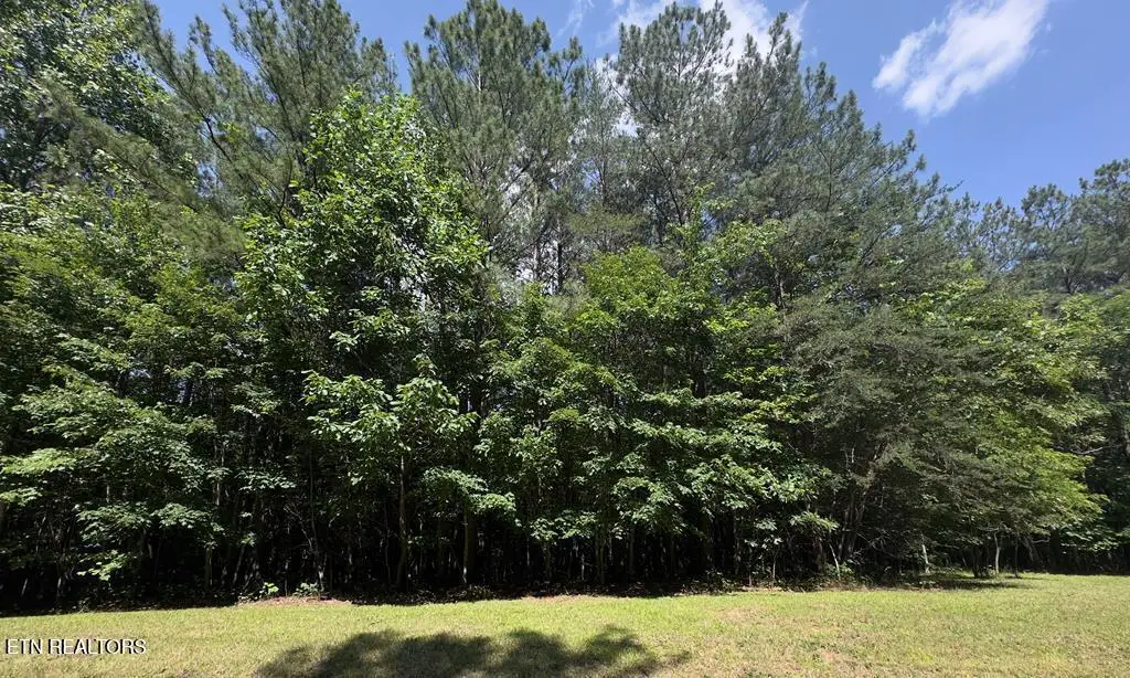 0 Hickory Nut Tr, Spencer, TN 38585 - #1