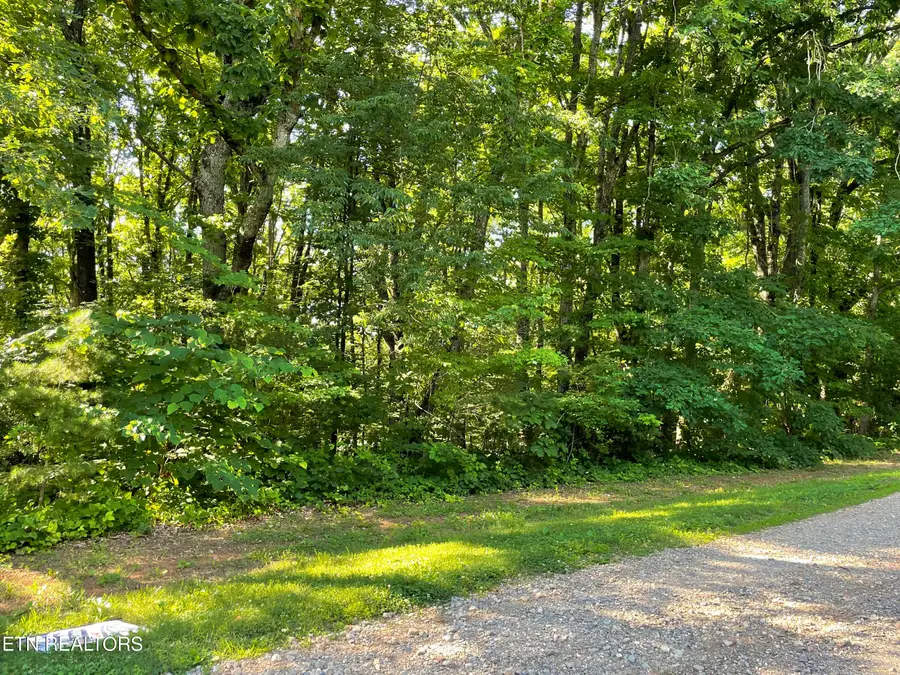 Highway 411 #Lot 3, Madisonville, TN 37354 - #2