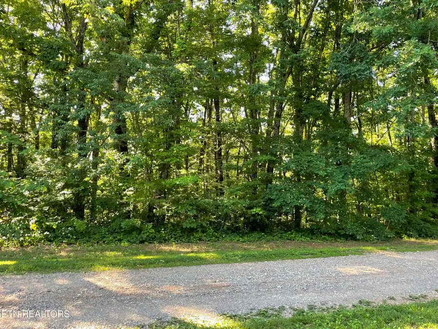 Highway 411 #Lot 3, Madisonville, TN 37354 - #3