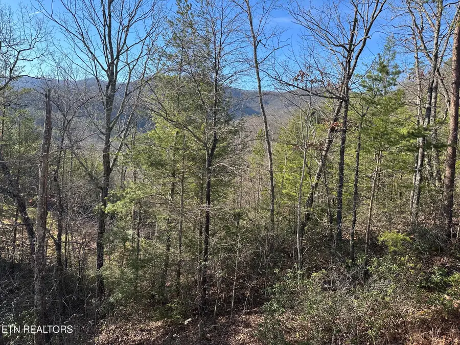 1306 Morning Dove Way, Sevierville, TN 37862 - #3