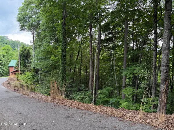 TBD High Top Loop, Sevierville, TN 37862