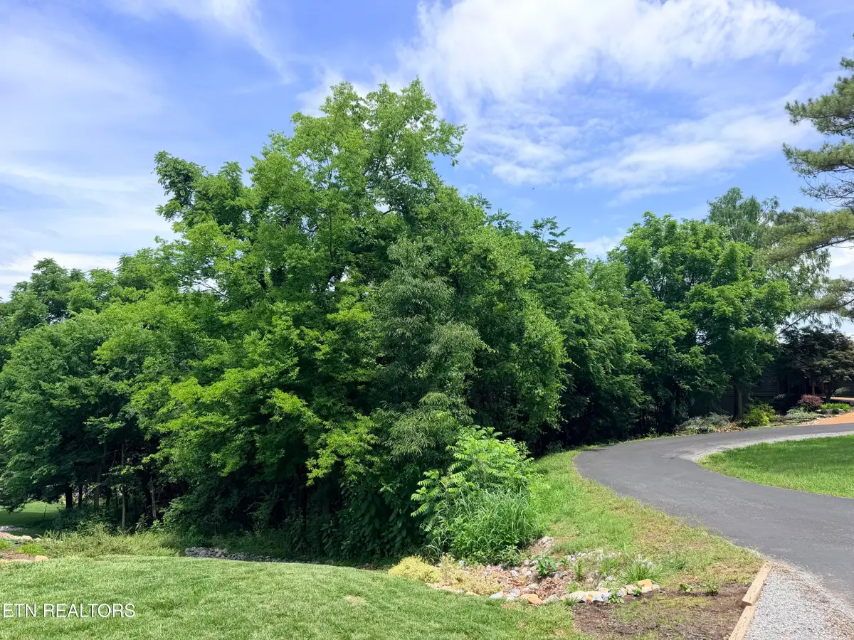 112 Alichanoska Lane, Loudon, TN 37774 - #1
