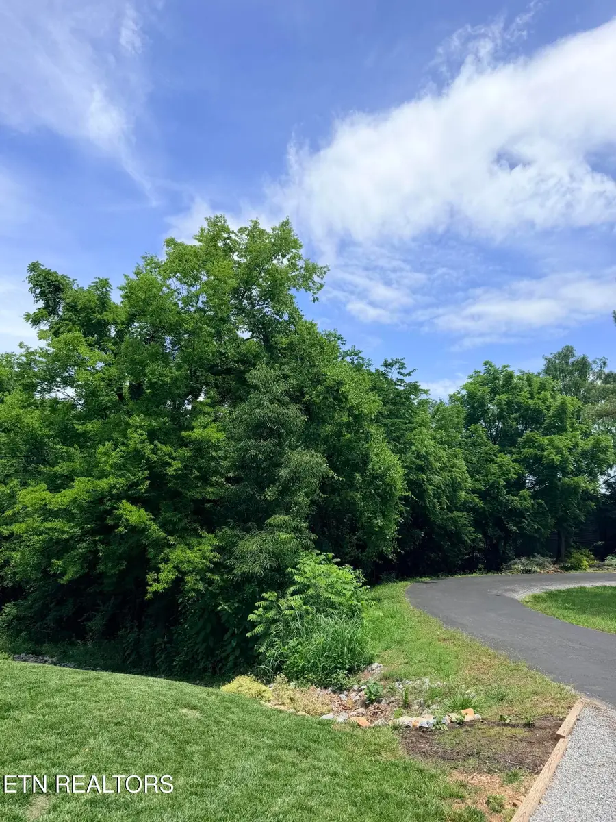 112 Alichanoska Lane, Loudon, TN 37774 - #2