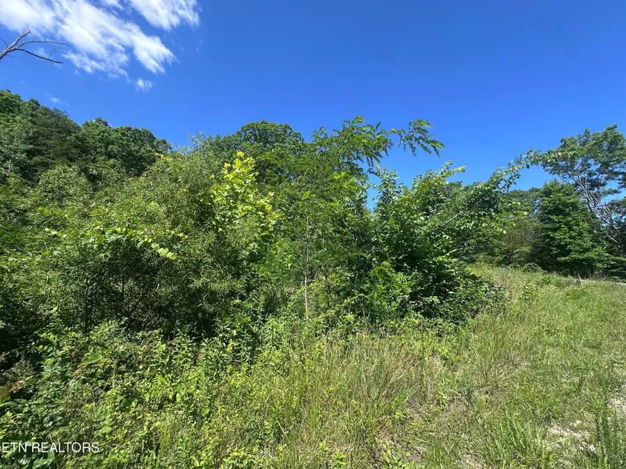 1020 Tomahawk Rd, Jamestown, TN 38556 - #3