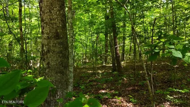 Lot 37/38A T Crowe Circle, Soddy Daisy, TN 37379 - #1