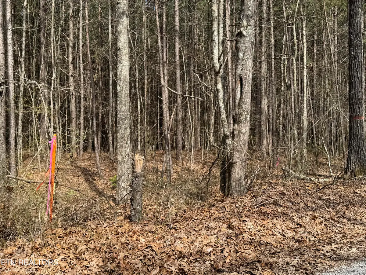 Sam Summers Rd, Rockwood, TN 37854 - #1