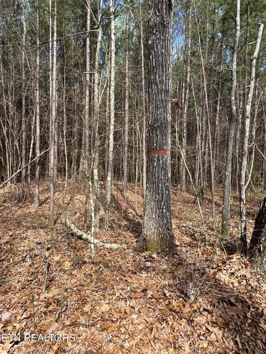 Sam Summers Rd, Rockwood, TN 37854 - #2