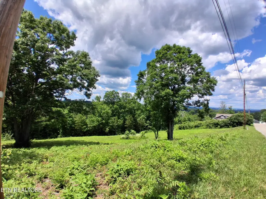 336 Woodstock Drive, Rutledge, TN 37861 - #3