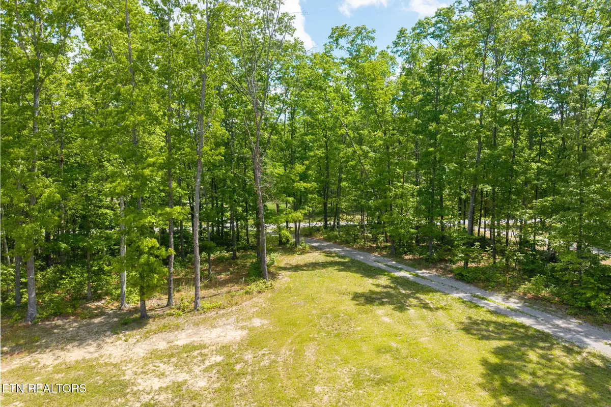 833 Little Hurricane Lane, Monterey, TN 38574 - #1