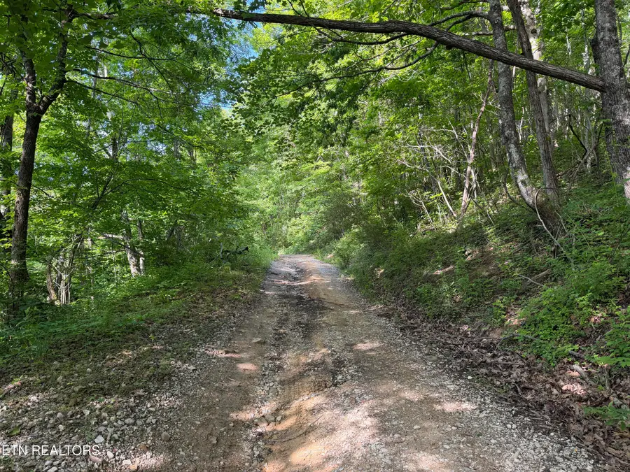 Mountain Rd, Caryville, TN 37714 - #3